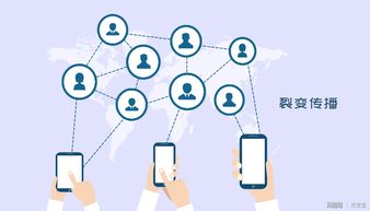 開發寶全面升級會員權益 為企業提供定制化專屬軟件外包服務